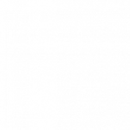MD Inc